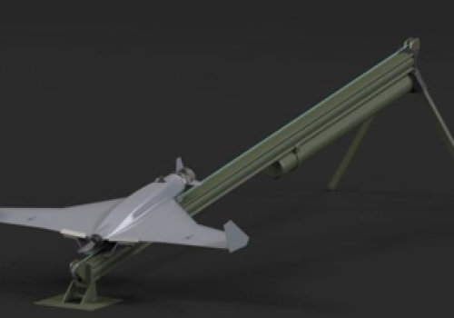 飛翼自殺式無人機